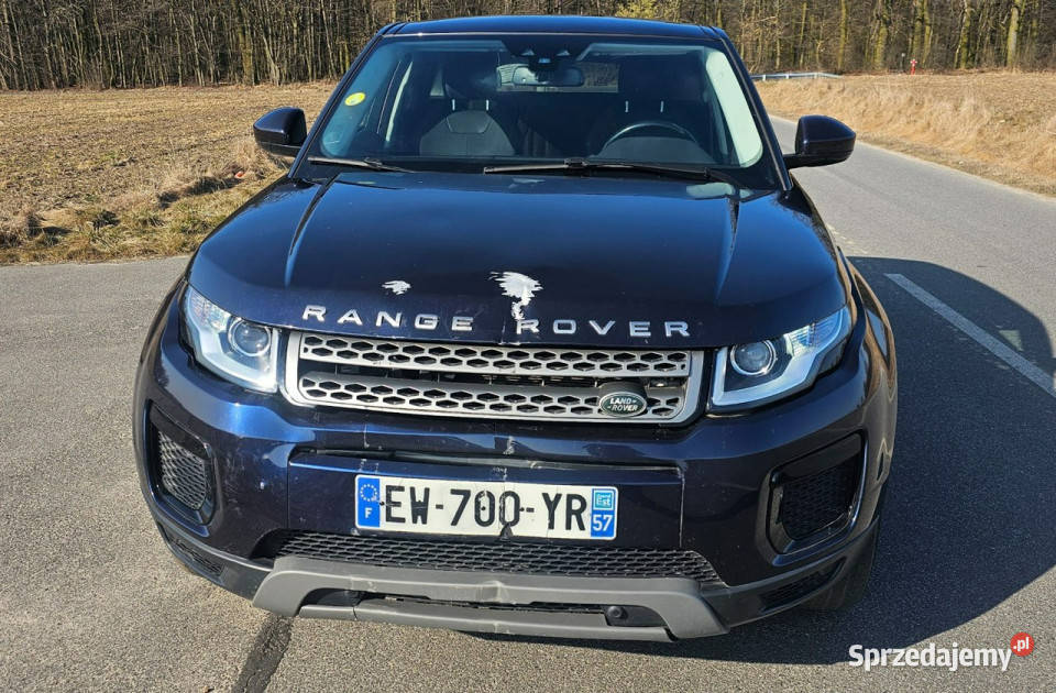 Land Rover Range Rover Evoque 97000 I 20112018 czujnik parkowania wielkopolskie Pleszew
