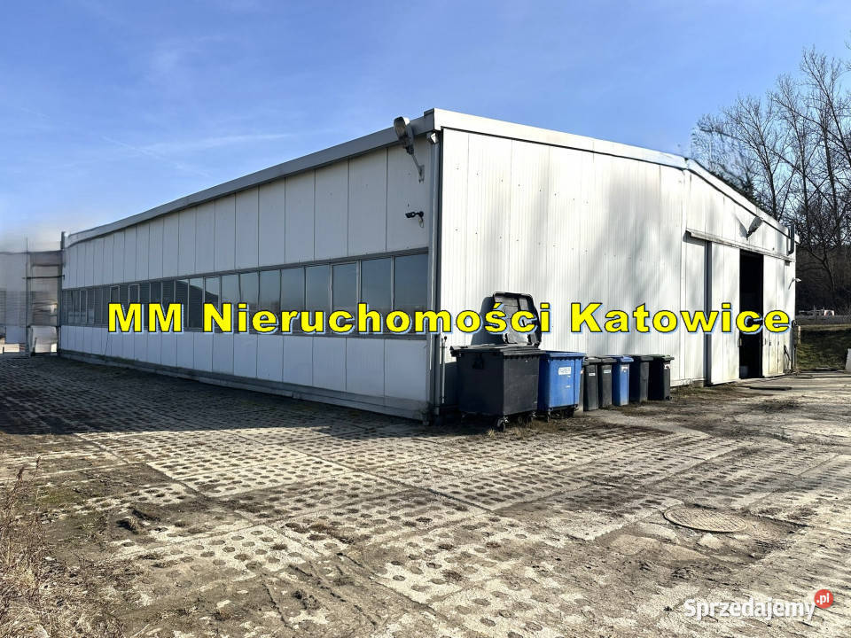 Hala wolnostojąca do wynajęcia Mysłowice plac