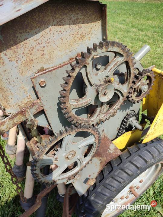 Siewnik Poznaniak na docisku Cianowice