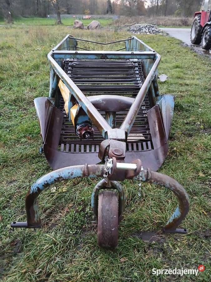 Kopaczka elewatorowa Kopaczka do ziemniaków Rzgów