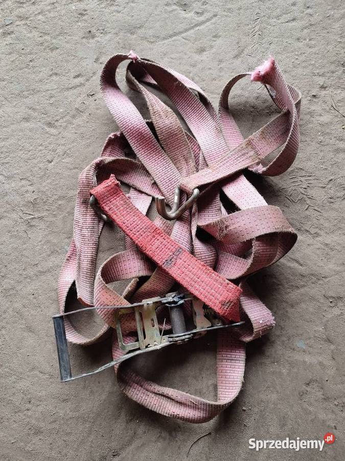 Pas transportowy duży Dąbrówka Duża sprzedam