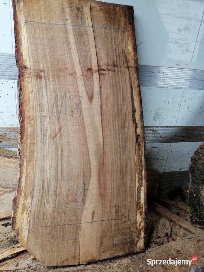 Monolit 65x65 x5 dąb stolik kawowy live edge Pozostałe Przysucha