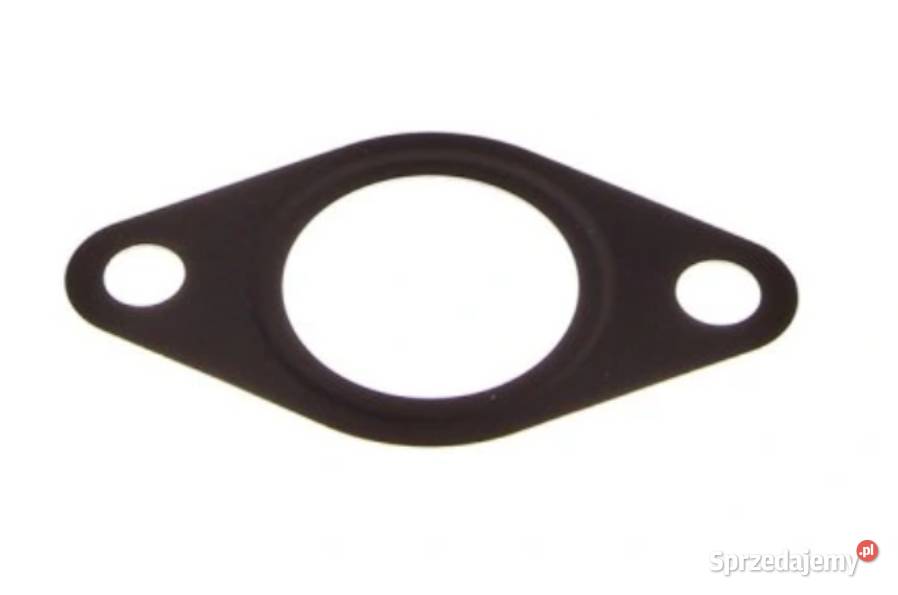 TOYOTA Corolla Avensis Rav4 Uszczelka smoka osobowe dolnośląskie Kąty Wrocławskie