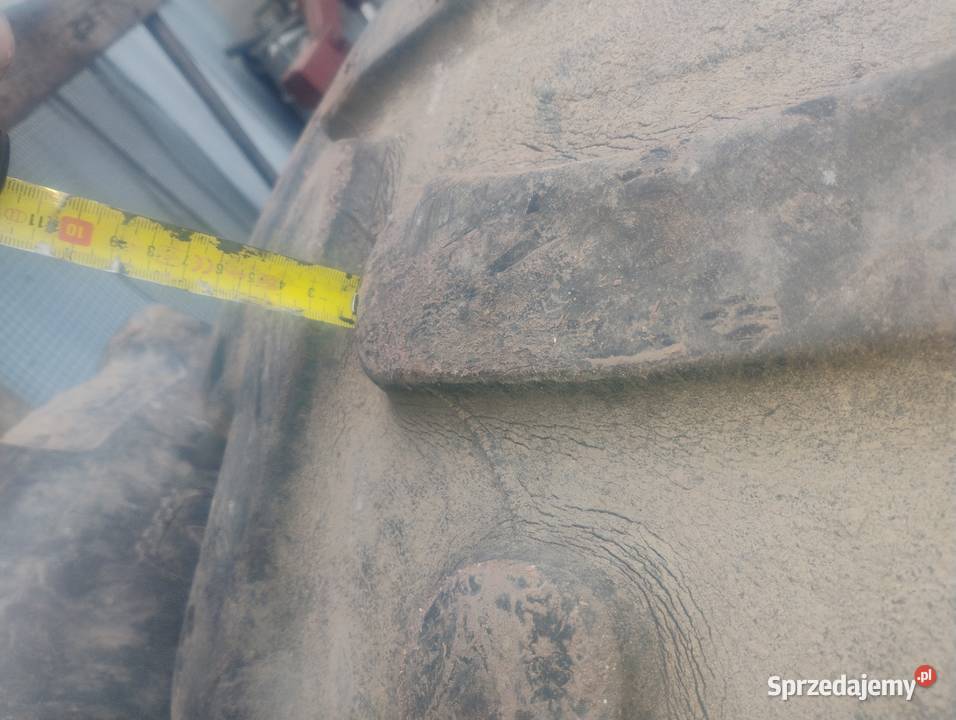 Opony radialne 4208538 16938 Pleszew