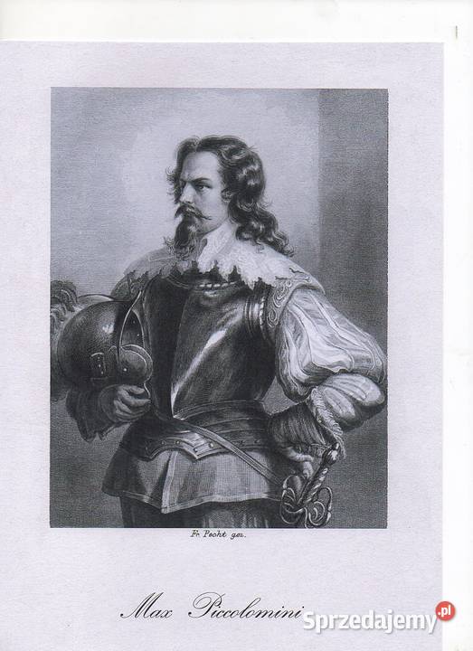 Kopie stalorytówGaleria Schillera autorstwa sprzedam