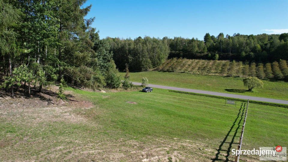 sprzedaży działki TeodorówkaKolonia 4182m2 telefon lubelskie Teodorówka-Kolonia