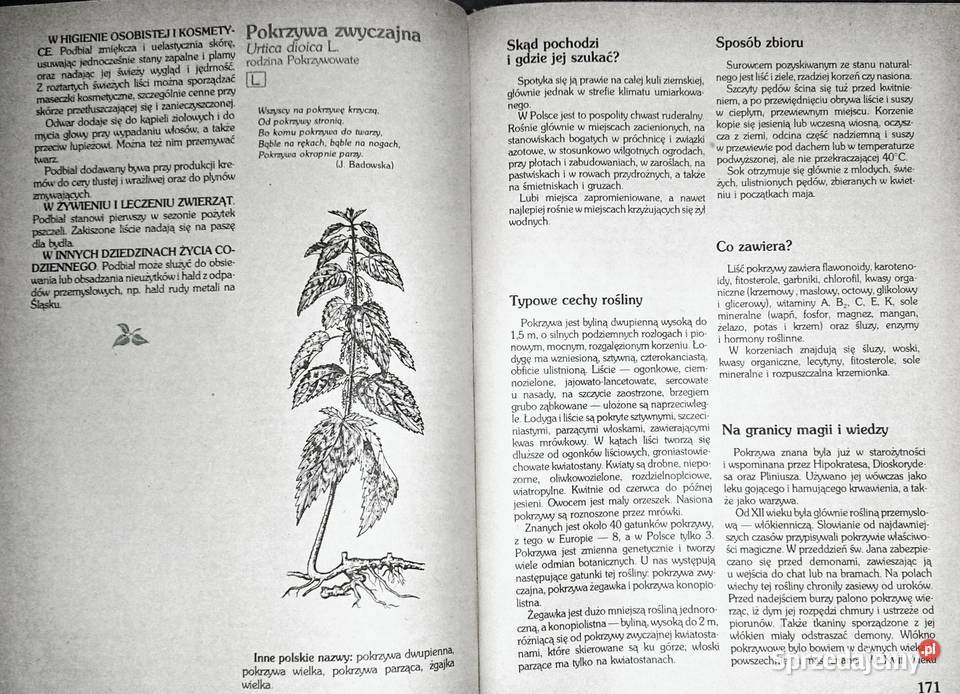 Zioła w polskim domu Danuta TyszyńskaKownacka twarda lubelskie sprzedam
