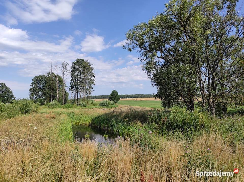 Nieruchomość rolna zabudowana Starowieś