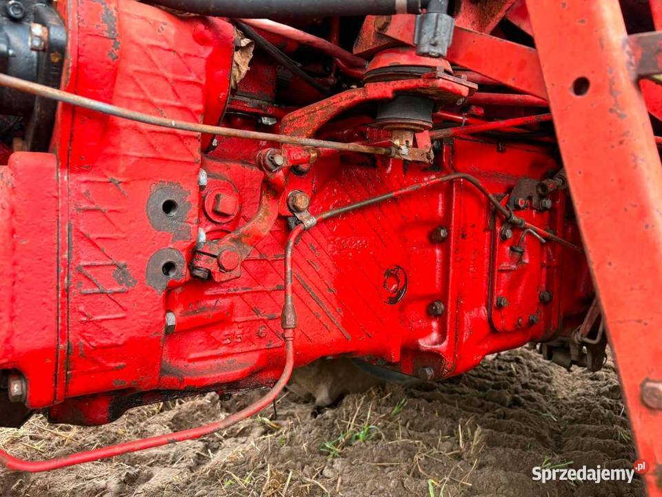 MTZ 82 96r świętokrzyskie Cierno-Żabieniec