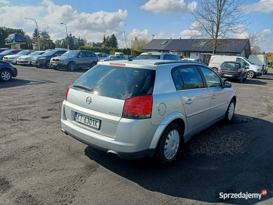 Opel Signum Opel Signum 22 05r nieuszkodzony