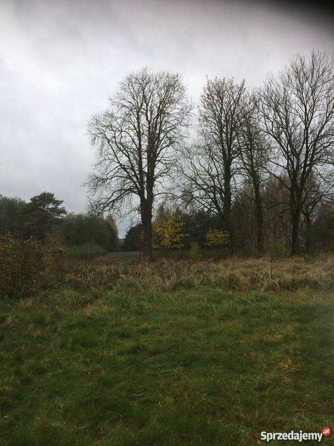 Działki I Siedlisko Jeziorem Zdworskim Grunty i działki mazowieckie Matyldów