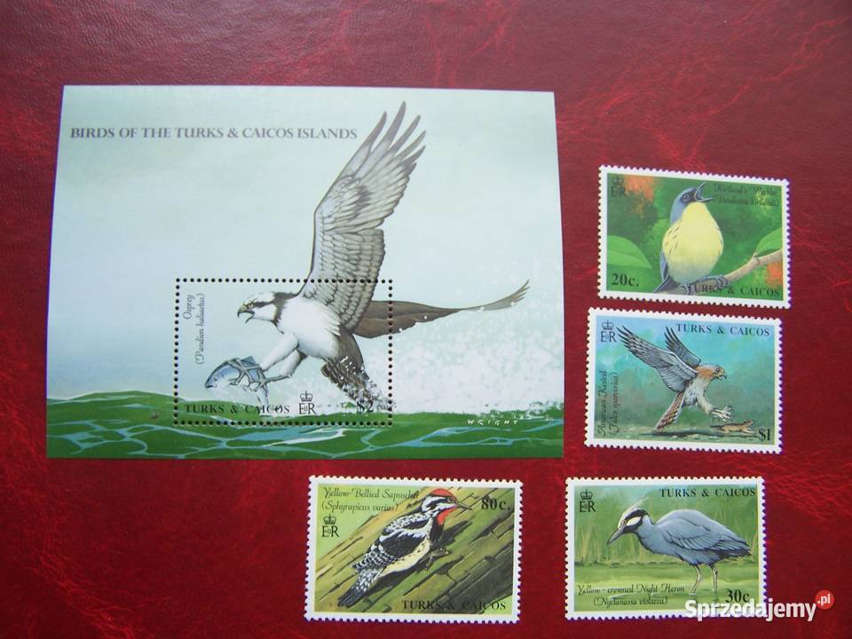 Turks Caicos 1990 MNH Fauna Ptaki Antyki, Sztuka, Kolekcje śląskie Tychy