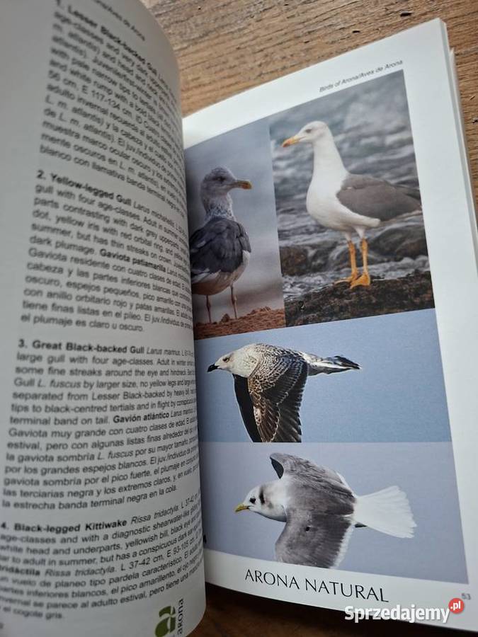 Birds of Arona A photogrphic guide j ang Kraków sprzedam