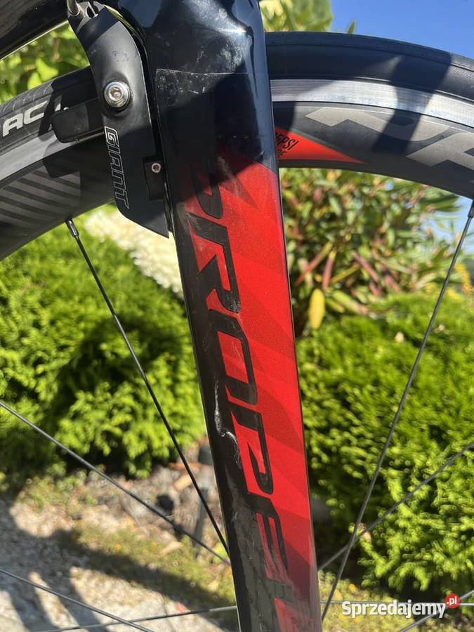 Rower szosowy Giant Propel Advanced 1 ML Carbon Machowa