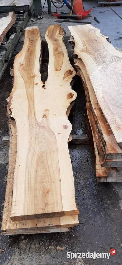 Wiąz deski bale brusy wiązu podkarpackie