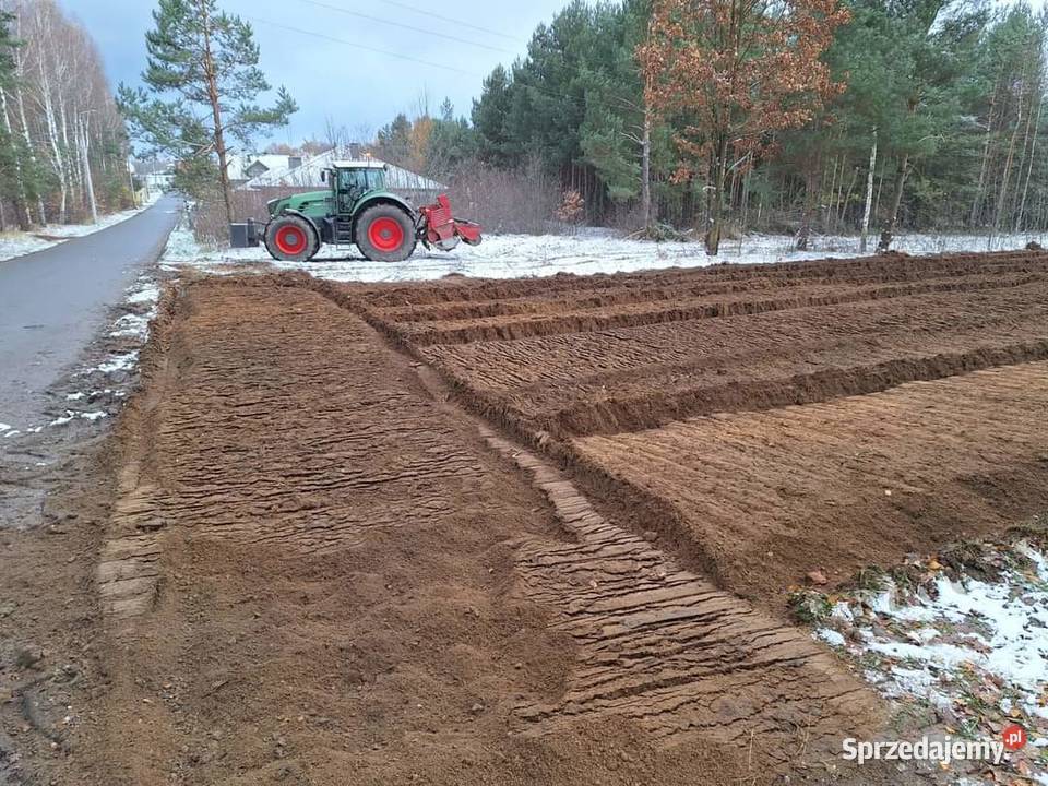 Wycinka drzew Czyszczenie terenu Mulczowanie Sandomierz