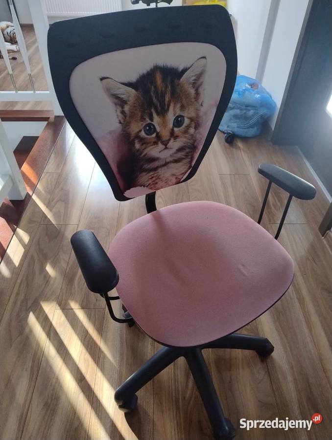 Krzesła dziecięce ładne Cieszyn