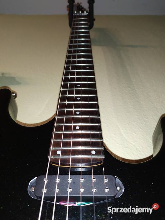 Squier Showmaster by Fender Squier dolnośląskie