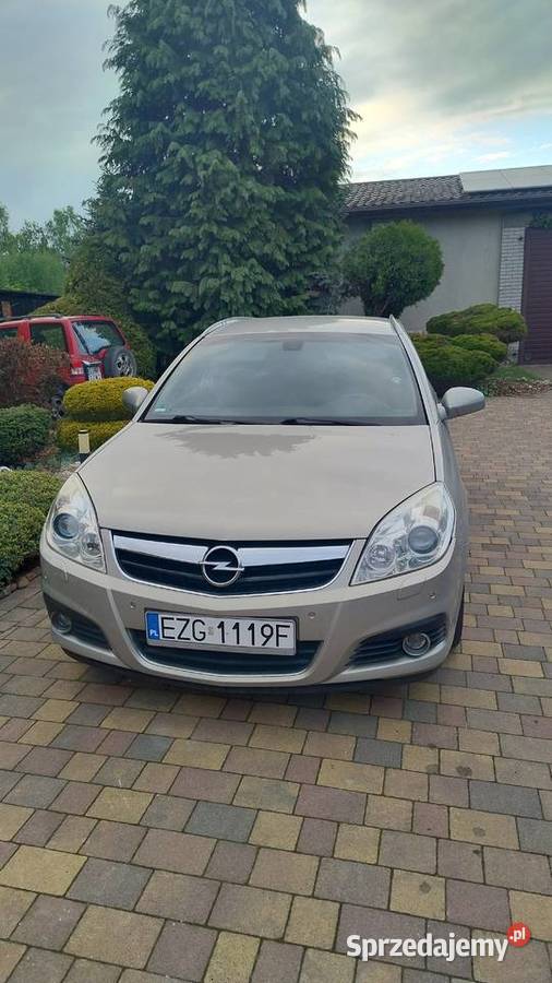 Opel Signum Signum Grotniki