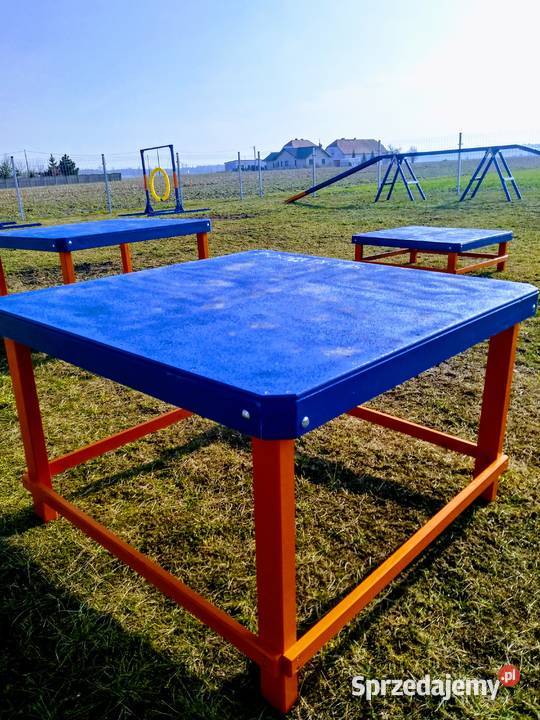 Stół do agility (nowy)