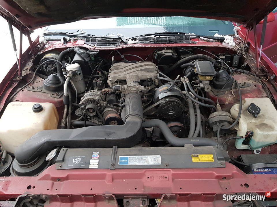 Syndyk sprzeda samochód marki Pontiac Firebird Warszawa