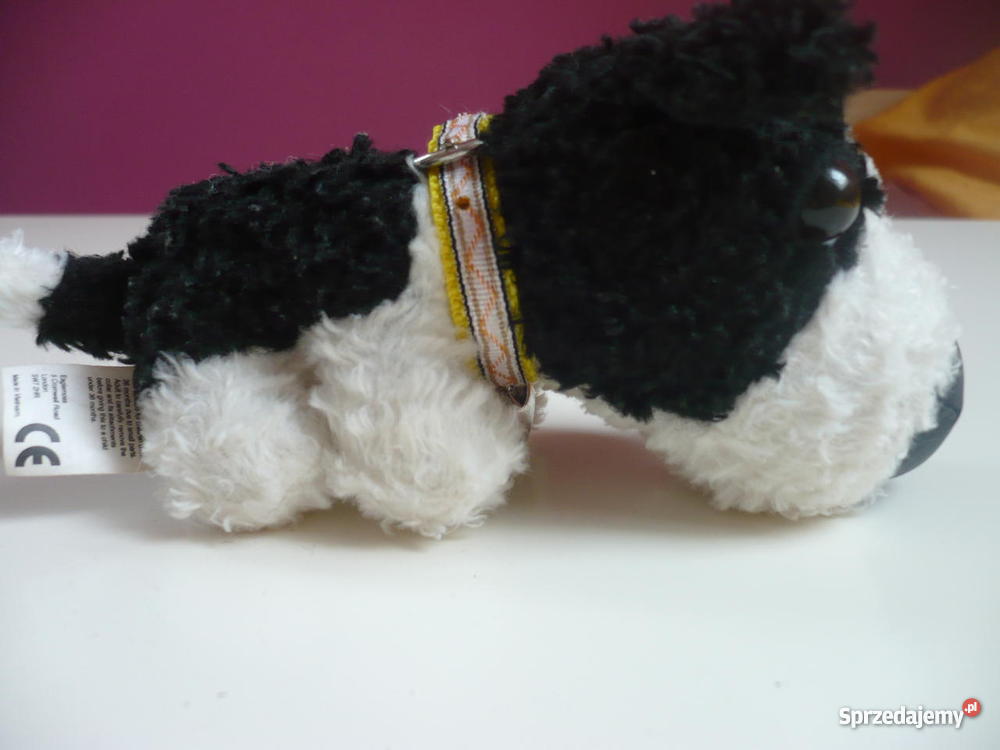 Pieski The Dog Chełm