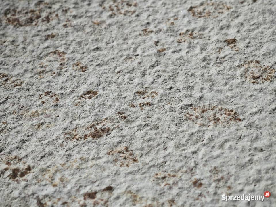 Fornir Kamienny Travertino beige 2MM 122x61x02 Gdynia