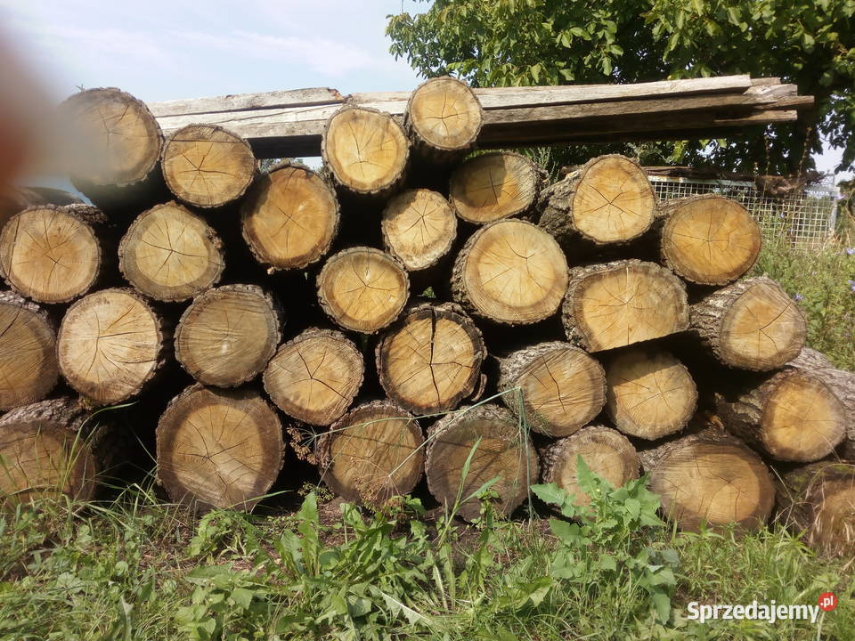 Drewno sosnowe Śrem sprzedam