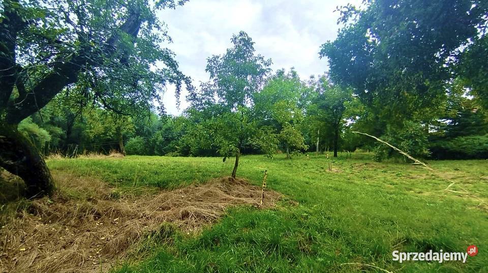 Działka budowlana 19 arów Janowice powiat asfalt