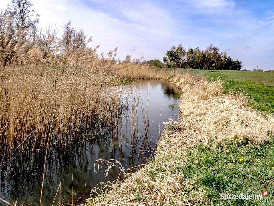 Działka z Warunkami Zabudowy 1500m2 rekreacyjna Bądkowo