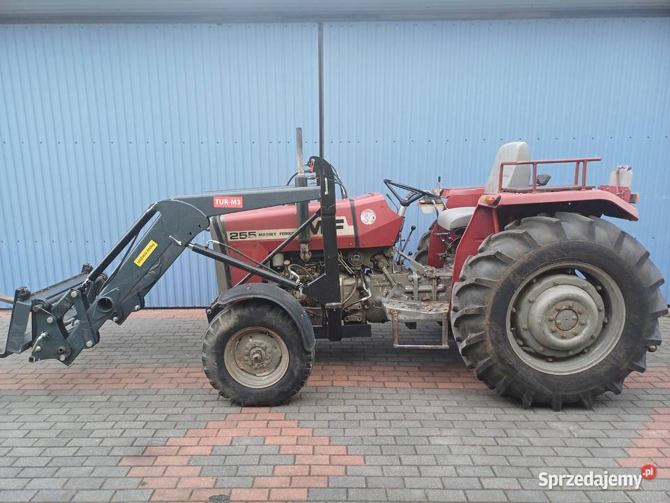 Ciągnik Massey Ferguson 255 Anglik Tur Polskowola