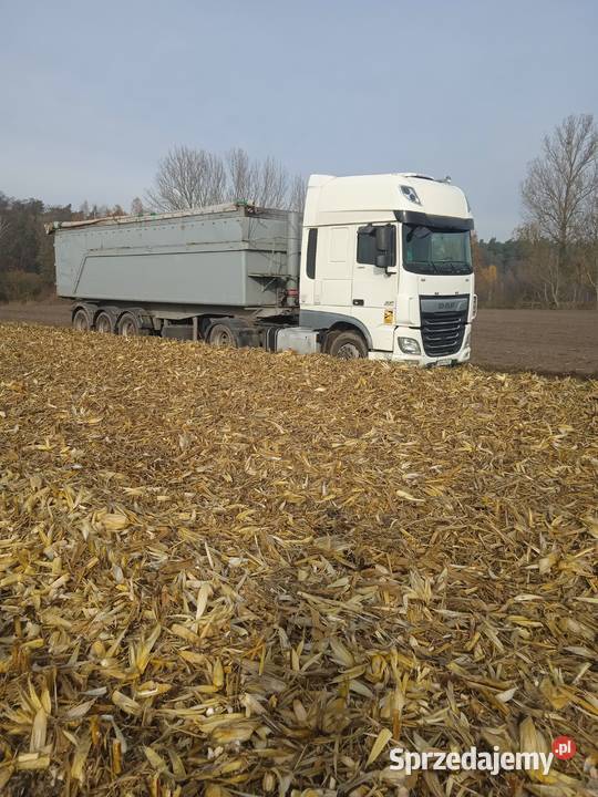 Daf 106 125000km Wilczyn