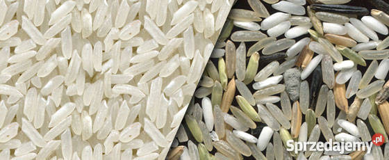 Sortownik optyczny SmartSort Poznań