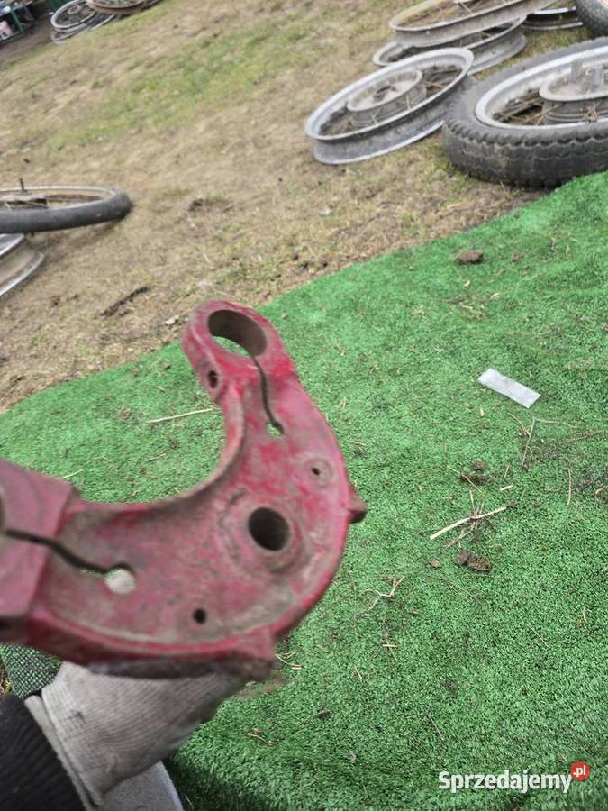 Polka jawa cz lubuskie Gorzów Wielkopolski