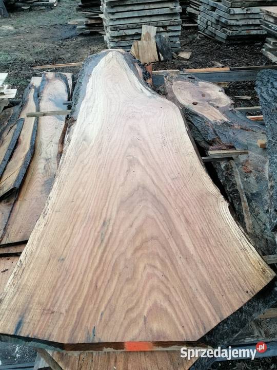 Monolit dąb 150 x75 x6 Przysucha