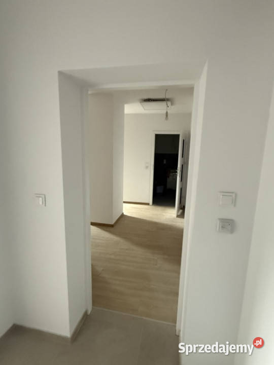 Do wynajęcia mieszkanie w ścisłym centrum Kraków sprzedam
