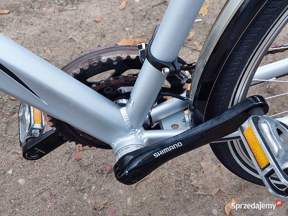 Rower męski kettler Alfine 8