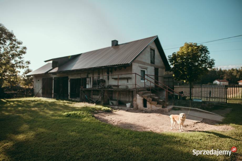 Siedlisko z zadbanym domem i budynkami na Sprzedaż mazowieckie Zaorze