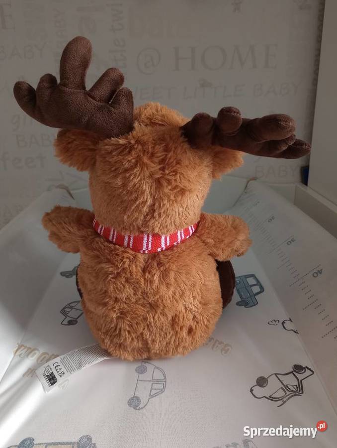 Grający i ruszający się renifer Szczecin