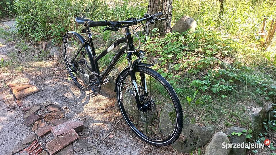 Alu Rower Miejski Damski Haibike Cross Street Sr Wołów sprzedam