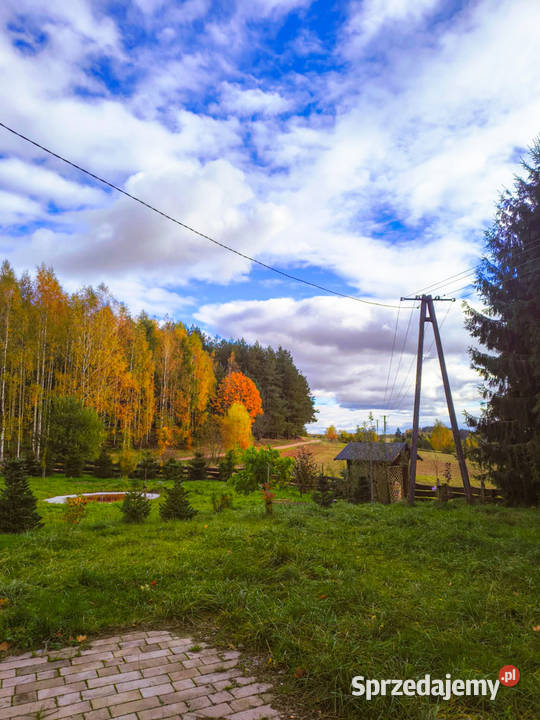 siedlisko dom na wsi lesie cisza 3000 m2 drewniane warmińsko-mazurskie Stryjkowo