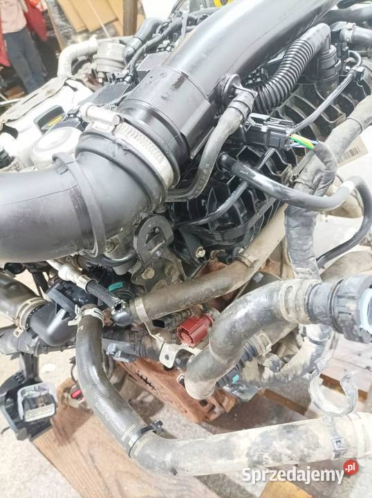 SILNIK KOMPLETNY BENZYNA SFCF KL62723 10