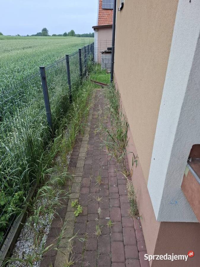 Mycie kostki brukowej efekt nowa Rzeszów