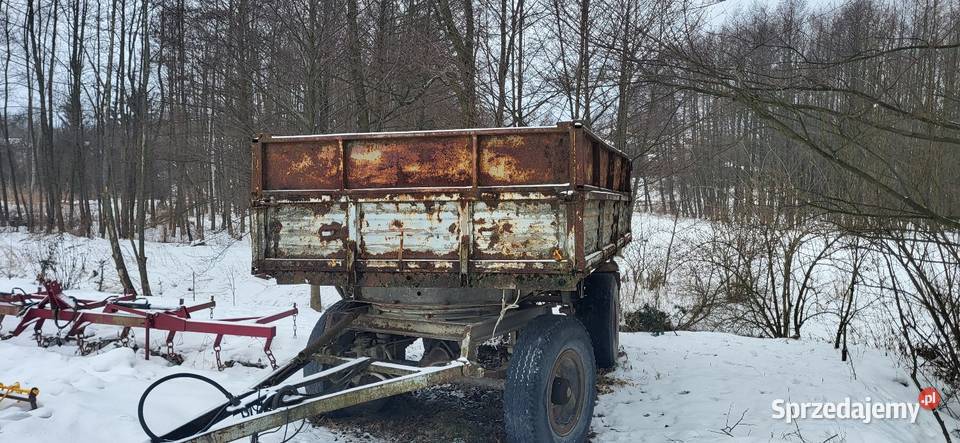 Autosan d55 krone Urzędów