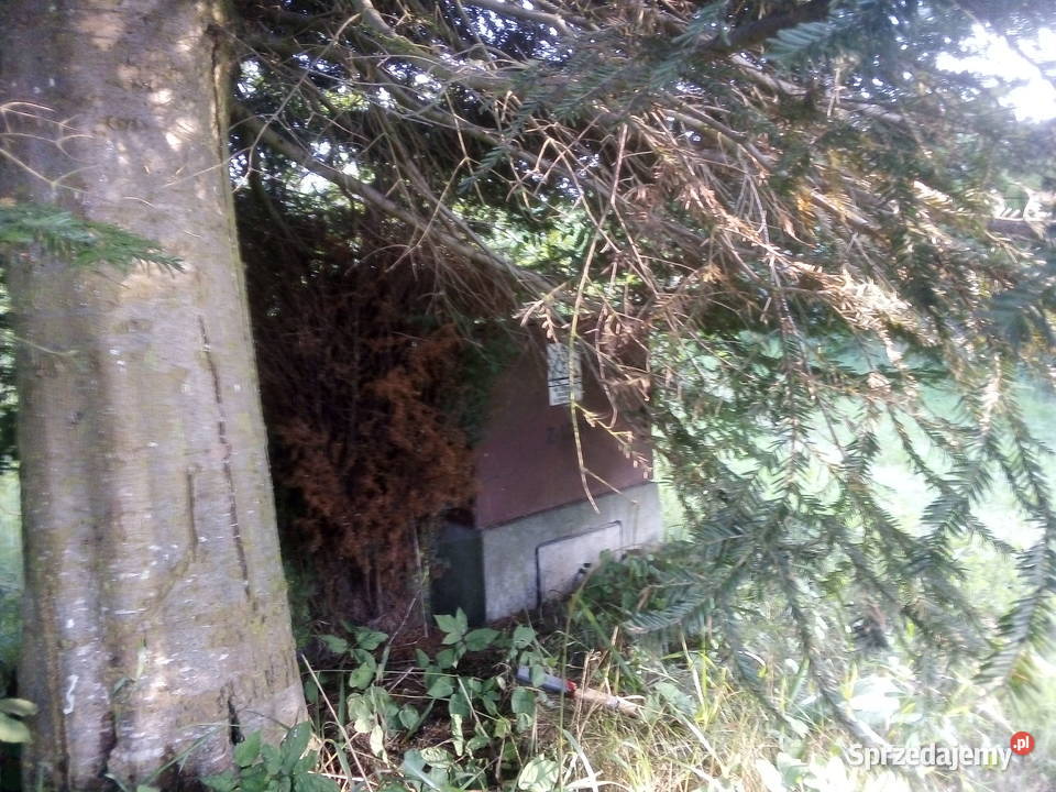 Działka w Barłominie k Luzina Barłomino