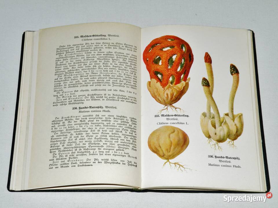 Fhrer fr Pilzfreunde EMichael RSchulz Tom 3 Wyd Bydgoszcz