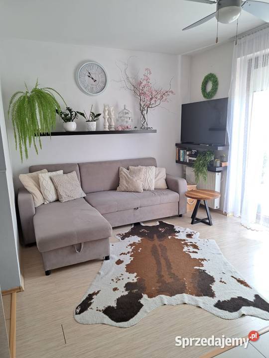 Mieszkanie w Smolcu zamiana na domdopłata Smolec sprzedam