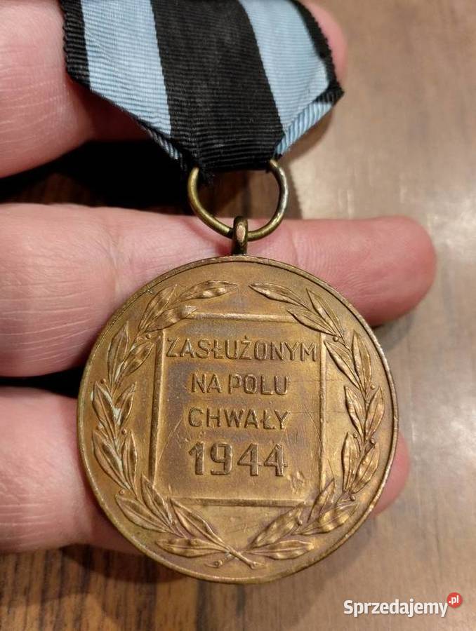 Zasłużonym Na Polu Chwały brązowy Poznań