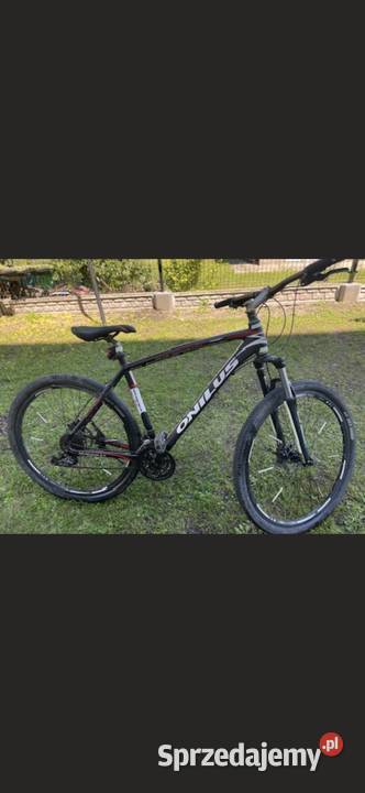 Rower Onilus 30muranus Żołynia sprzedam