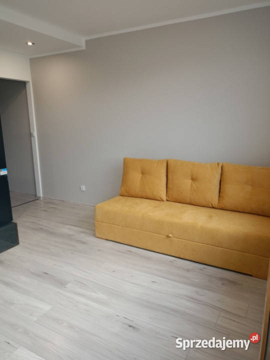 Wynajmę mieszkanie 315 m2 garaż Kraków